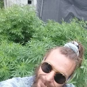 sticky
